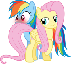 Size: 2000x1816 | Tagged: safe, artist:shutterflyyay, fluttershy, rainbow dash, pegasus, pony, g4, .svg available, blushing, duo, female, lesbian, mare, raised hoof, seduction, ship:flutterdash, shipping, simple background, tail seduce, transparent background, vector