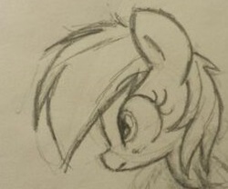 Size: 253x210 | Tagged: artist needed, source needed, safe, rainbow dash, g4, female, monochrome, sketch, solo, traditional art