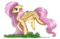 Size: 800x526 | Tagged: safe, artist:gela98, fluttershy, g4, female, solo