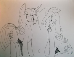 Size: 4141x3216 | Tagged: safe, artist:scribblepwn3, derpy hooves, twilight sparkle, alicorn, pegasus, pony, g4, awkward, female, heartbreak, lesbian, monochrome, pen drawing, rejection, ship:twerpy, shipping, shipping denied, traditional art, twilight sparkle (alicorn)