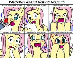 Size: 750x600 | Tagged: safe, artist:adenyne, fluttershy, pegasus, pony, g4, blushing, crying, descriptive noise, ear blush, embarrassed, expressions, horse noises, meme, no catchlights, open mouth, scared, shocked, shrunken pupils, spread wings, startled, surprised, teary eyes, upset, waifu, wings