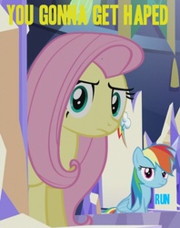 Size: 494x624 | Tagged: safe, fluttershy, rainbow dash, g4, what about discord?, caption, hape, hug, image macro, meme, text