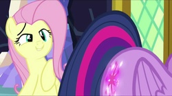 Size: 856x480 | Tagged: safe, screencap, fluttershy, twilight sparkle, pegasus, pony, g4, the hooffields and mccolts, booty call, eyes on the prize, female, glowing cutie mark, look at my butt, looking at butt, mare, out of context, twilight sparkle (alicorn)