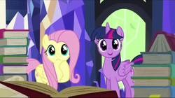 Size: 1919x1075 | Tagged: safe, screencap, fluttershy, twilight sparkle, alicorn, pony, g4, the hooffields and mccolts, book, cute, duo, female, looking at you, mare, twilight sparkle (alicorn)