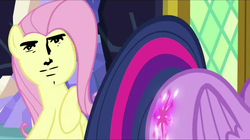 Size: 856x480 | Tagged: safe, screencap, fluttershy, twilight sparkle, pony, g4, the hooffields and mccolts, booty call, female, glowing cutie mark, look at my butt, mare, meme, twilight sparkle (alicorn), yaranaika