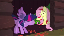 Size: 1915x1079 | Tagged: safe, screencap, fluttershy, twilight sparkle, alicorn, pony, g4, the hooffields and mccolts, behaving like a dog, duo, female, mare, shaking, tomatoes, twilight sparkle (alicorn)