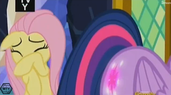 Size: 1297x727 | Tagged: safe, screencap, fluttershy, twilight sparkle, pegasus, pony, g4, the hooffields and mccolts, booty call, covering face, cowering, discovery family logo, eyes closed, female, floppy ears, glowing cutie mark, look at my butt, mare, out of context, twilight sparkle (alicorn)