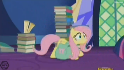 Size: 1366x768 | Tagged: safe, screencap, fluttershy, g4, the hooffields and mccolts, discovery family logo, saddle bag