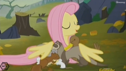 Size: 1366x768 | Tagged: safe, screencap, fluttershy, g4, the hooffields and mccolts, discovery family logo, fluttermom