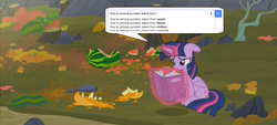 Size: 1920x870 | Tagged: safe, edit, screencap, twilight sparkle, alicorn, pony, g4, the hooffields and mccolts, female, google, image macro, mare, meme, solo, twilight sparkle (alicorn)