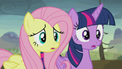 Size: 500x281 | Tagged: safe, screencap, fluttershy, twilight sparkle, alicorn, pony, g4, the hooffields and mccolts, animated, cringing, duo, female, folded wings, mare, reaction, surprised, twilight sparkle (alicorn), wings