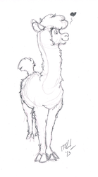 Size: 484x870 | Tagged: safe, artist:carnivorouscaribou, paprika (tfh), alpaca, them's fightin' herds, community related, heart, monochrome, sketch, traditional art