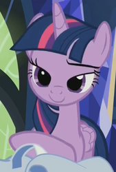 Size: 360x532 | Tagged: safe, screencap, twilight sparkle, alicorn, pony, g4, the hooffields and mccolts, female, lidded eyes, mare, raised eyebrow, solo, twilight sparkle (alicorn)