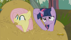 Size: 1024x573 | Tagged: safe, screencap, fluttershy, twilight sparkle, alicorn, pony, g4, the hooffields and mccolts, discovery family logo, female, horses doing horse things, mare, scrunchy face, twilight sparkle (alicorn)