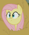 Size: 365x431 | Tagged: safe, screencap, fluttershy, g4, the hooffields and mccolts, cute, faic