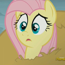 Size: 542x542 | Tagged: safe, screencap, fluttershy, g4, my little pony: friendship is magic, the hooffields and mccolts, discovery family logo