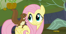 Size: 1361x711 | Tagged: safe, screencap, fluttershy, squirrel, g4, the hooffields and mccolts, cute, discovery family logo