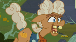 Size: 1024x570 | Tagged: safe, screencap, ma hooffield, earth pony, pony, g4, the hooffields and mccolts, clothes, discovery family logo, female, hooffield family, mare, open mouth, shirt, teeth