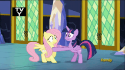 Size: 800x450 | Tagged: safe, screencap, fluttershy, twilight sparkle, alicorn, pony, g4, the hooffields and mccolts, adorkable, animated, booty call, castle, cowering, cute, cutie mark, discovery family logo, dork, duo, excited, female, flinch, floppy ears, glowing, glowing cutie mark, grin, look at my butt, looking back, mare, out of context, scared, sitting, smiling, tail whip, talking, twilight sparkle (alicorn), wide eyes