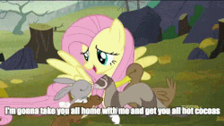 Size: 480x270 | Tagged: safe, edit, edited screencap, screencap, fluttershy, ferret, g4, the hooffields and mccolts, animated, discovery family logo, female, hug, image macro, meme, winghug