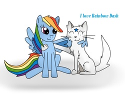 Size: 816x612 | Tagged: safe, artist:catlori9, rainbow dash, oc, cat, g4, non-mlp oc