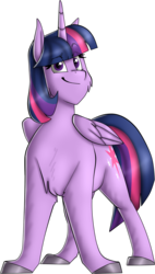 Size: 1007x1767 | Tagged: safe, artist:namyg, twilight sparkle, alicorn, pony, g4, female, mare, solo, twilight sparkle (alicorn)