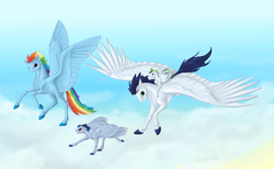 Size: 1024x629 | Tagged: safe, artist:buffyandbramble, rainbow dash, soarin', oc, oc:free fall, oc:max velocity, pony, g4, female, flying, male, offspring, parent:rainbow dash, parent:soarin', parents:soarindash, ponies riding ponies, riding, ship:soarindash, shipping, straight