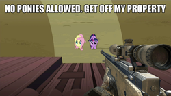 Size: 1249x700 | Tagged: safe, edit, edited screencap, screencap, fluttershy, twilight sparkle, alicorn, pegasus, pony, g4, the hooffields and mccolts, call of duty, female, gun, hooves, image macro, l118a, mare, meme, optical sight, rifle, smiling, sniper rifle, solo, text, twilight sparkle (alicorn), weapon
