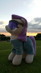 Size: 720x1280 | Tagged: safe, artist:arcanelexicon, maud pie, g4, irl, photo, plushie, sunglasses