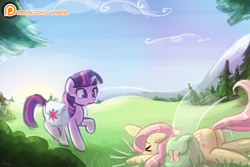 Size: 1125x750 | Tagged: safe, artist:lumineko, fluttershy, twilight sparkle, alicorn, pony, g4, the hooffields and mccolts, butt, faceplant, falling, female, heavy, mare, patreon, patreon logo, plot, saddle bag, twilight sparkle (alicorn)