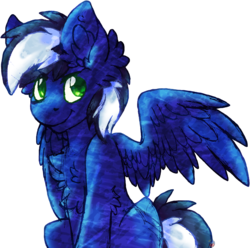 Size: 2725x2704 | Tagged: safe, artist:php166, oc, oc only, oc:high octane, pegasus, pony, high res, male, stallion, wings