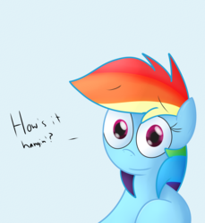 Size: 2697x2949 | Tagged: safe, artist:mr-degration, rainbow dash, pony, g4, female, high res, looking at you, solo