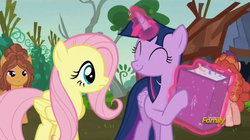 Size: 1904x1067 | Tagged: safe, screencap, fluttershy, tree h. hooffield, trowel hooffield, twilight sparkle, alicorn, pony, g4, the hooffields and mccolts, book, discovery family logo, eyes closed, female, hooffield family, magic, mare, smiling, twilight sparkle (alicorn)
