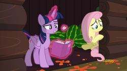 Size: 1904x1067 | Tagged: safe, screencap, fluttershy, twilight sparkle, alicorn, pony, g4, the hooffields and mccolts, book, discovery family logo, duo, female, folded wings, food, magic, mare, twilight sparkle (alicorn), watermelon, wings