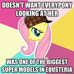 Size: 310x310 | Tagged: safe, fluttershy, pegasus, pony, g4, green isn't your color, female, hat, image macro, irony, mare, meme, scumbag hat, solo