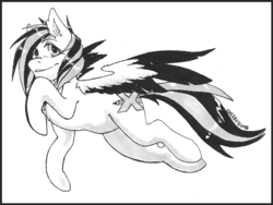 Size: 1200x900 | Tagged: safe, artist:cherry bomb, oc, oc only, oc:art block, pegasus, pony, black and white, grayscale, solo