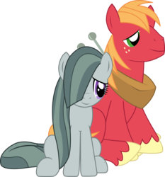 Size: 3134x3369 | Tagged: safe, artist:sketchmcreations, big macintosh, marble pie, earth pony, pony, g4, hearthbreakers, freckles, hair over one eye, high res, male, ship:marblemac, shipping, simple background, sitting, stallion, straight, transparent background, vector