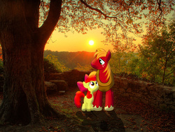 Size: 2560x1920 | Tagged: safe, artist:mr-kennedy92, artist:myardius, artist:waranto, apple bloom, big macintosh, earth pony, pony, g4, irl, male, photo, ponies in real life, shadow, siblings, stallion, stone wall, sunset, tree, vector