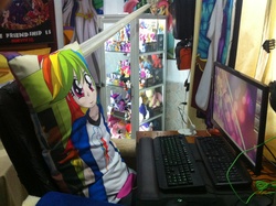 Size: 2592x1936 | Tagged: safe, fluttershy, rainbow dash, rarity, human, g4, battlestation, body pillow, build-a-bear, humanized, irl, photo, plushie