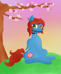 Size: 2000x2400 | Tagged: safe, artist:ravebounce, oc, oc only, oc:sureibu, pony, ballgag, cherry blossoms, collar, female, gag, high res, mare, sitting, solo, sunset