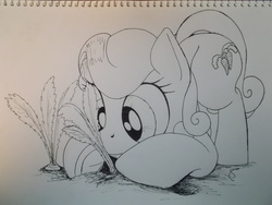 Size: 4288x3216 | Tagged: safe, artist:scribblepwn3, carrot top, golden harvest, earth pony, pony, g4, carrot, female, food, lineart, monochrome, pen drawing, solo, traditional art