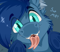 Size: 1280x1112 | Tagged: dead source, safe, artist:colarix, oc, oc only, oc:johan, bat pony, pony, cute, licking, licking the fourth wall, male, open mouth, stallion, tongue out, underhoof