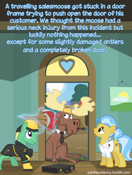 Size: 600x800 | Tagged: safe, artist:adiwan, doctor fauna, moose, ask the vet pony, g4, ask