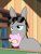 Size: 600x800 | Tagged: safe, artist:adiwan, donkey, mule, ask the vet pony, g4, animated, ask, solo, sunglasses, sunglasses on head