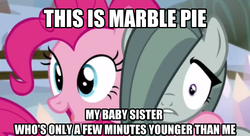 Size: 1438x781 | Tagged: safe, screencap, marble pie, pinkie pie, g4, hearthbreakers, image macro, meme, twins