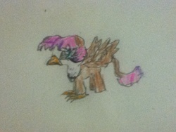 Size: 960x720 | Tagged: safe, artist:phoenixacezero, oc, oc only, oc:angelfeather, classical hippogriff, hippogriff, magical lesbian spawn, offspring, parent:fluttershy, parent:gilda, parents:gildashy, solo, traditional art