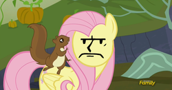 Size: 1361x711 | Tagged: safe, edit, edited screencap, screencap, fluttershy, squirrel, g4, the hooffields and mccolts, discovery family logo, fallout, female, solo