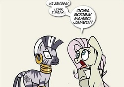 Size: 571x400 | Tagged: safe, artist:niban-destikim, fluttershy, zecora, pegasus, pony, zebra, g4, anatomically incorrect, angry, balancing, bipedal, derp, dialogue, discorded, earring, female, flutterbitch, frown, gibberish, glare, incorrect leg anatomy, insult, jewelry, mare, mouthpiece, neck rings, needs more jpeg, open mouth, out of character, piercing, racism, simple background, speech bubble, stereotype, this will end in pain, tongue out, white background, wide eyes