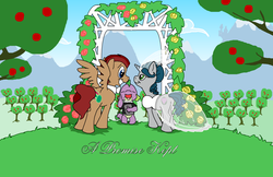 Size: 3188x2063 | Tagged: safe, artist:rhjunior, spike, pegasus, pony, unicorn, g4, bible, book, bowtie, clothes, dress, female, high res, male, marriage, straight, sweet apple acres, wedding, wedding dress, wedding veil