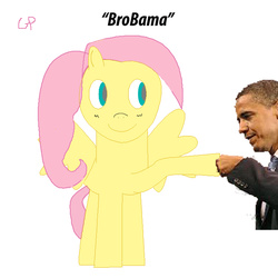 Size: 700x700 | Tagged: safe, fluttershy, g4, 1000 hours in ms paint, barack obama, ms paint, not salmon, pun, wat, what is this, wtf